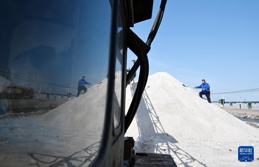 天津：万亩盐田“春扒”忙