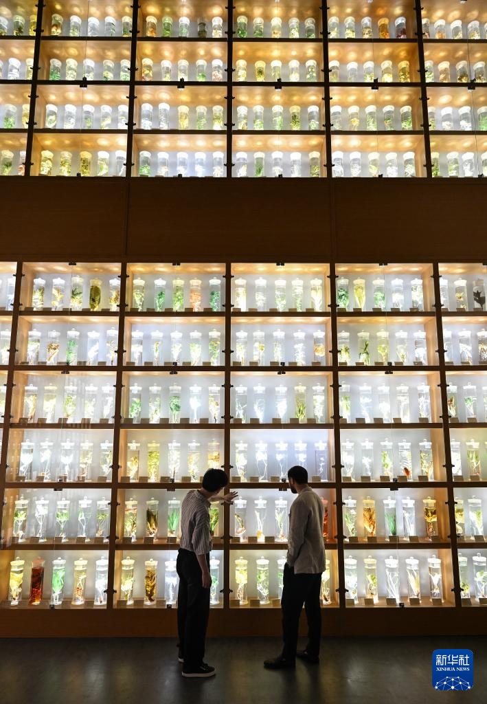 塔吉克斯坦青年李小龙的中医缘