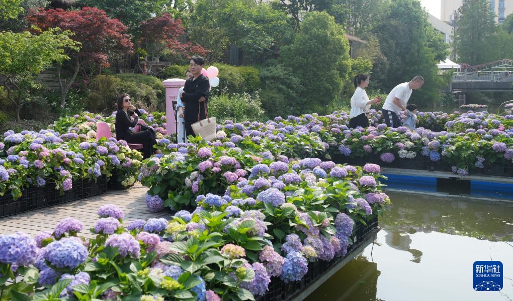 浙江海宁：世界花园大会开幕