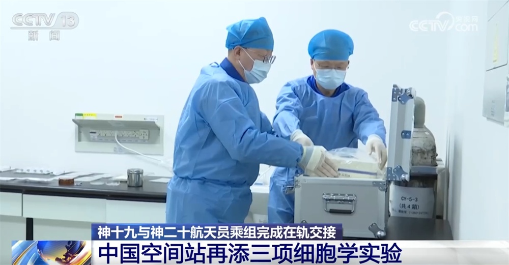 中国空间站“上新”三项细胞学实验 一起期待揭开更多“生命密码”