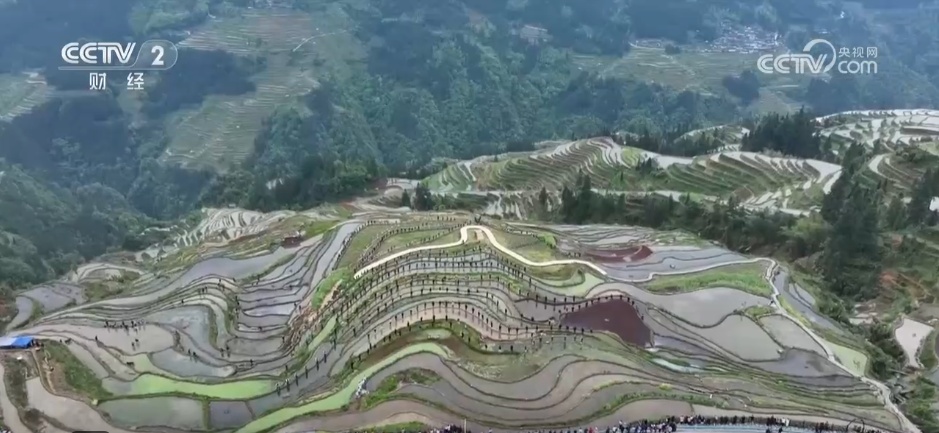 开秧门、采樱桃……打好地方“特色牌” 农文旅融合撑起村民“钱袋子”
