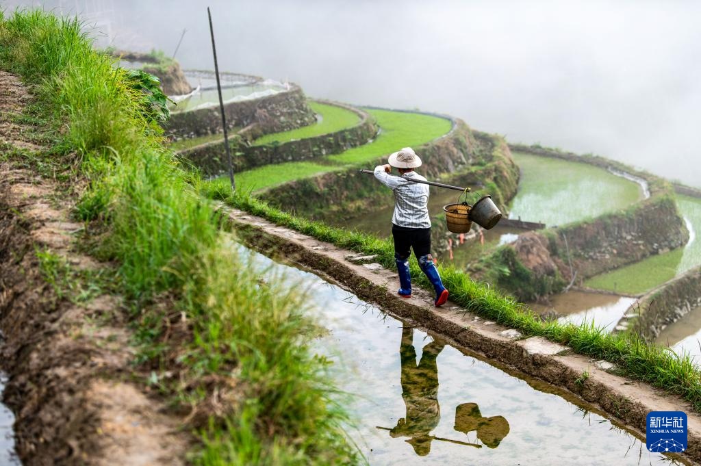 加榜梯田:藏在深山里的诗行 加榜梯田:藏在深山里的诗行