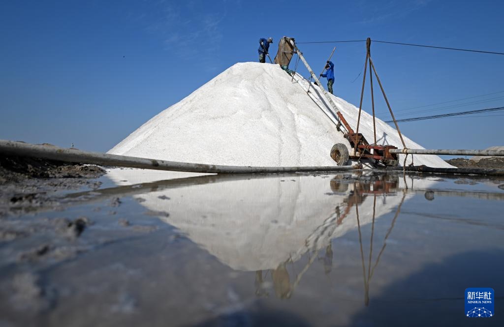 天津：万亩盐田“春扒”忙