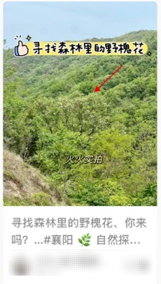 维C含量是苹果的10倍！近期不少人都在吃 但要注意……
