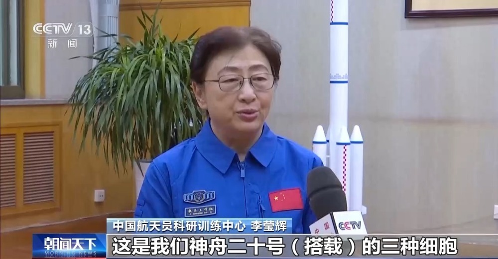 “神舟家族”六次在轨传递“接力棒” 中国空间站再添三项细胞学实验 “神舟家族”六次在轨传递“接力棒” 中国空间站再添三项细胞学实验