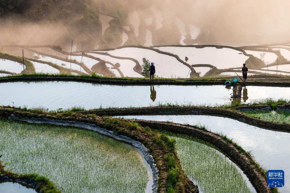 加榜梯田:藏在深山里的诗行 加榜梯田:藏在深山里的诗行