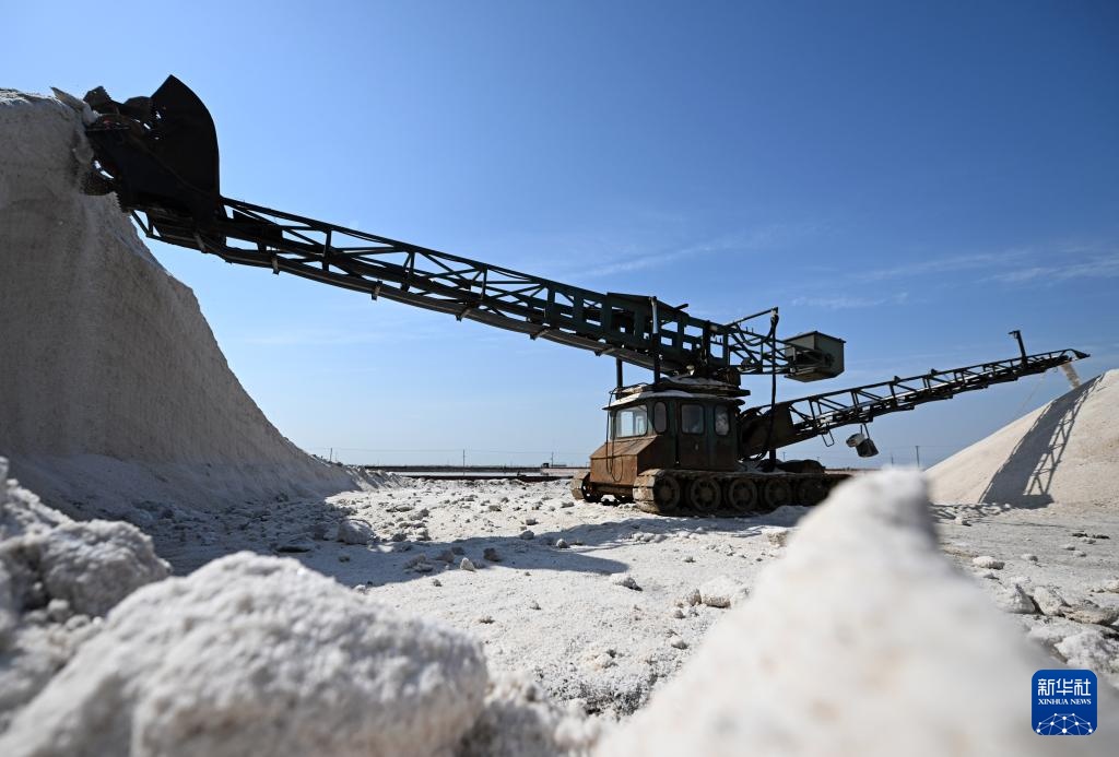 天津：万亩盐田“春扒”忙