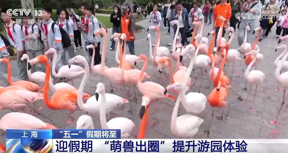 新爆点、新业态、新体验、新场景 “五一”假期文旅市场热度攀升