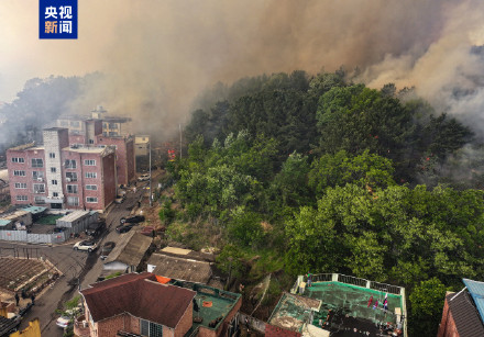 韩国大邱市发生山林火灾 浓烟扩散至市中心地区