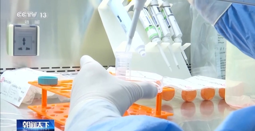 “神舟家族”六次在轨传递“接力棒” 中国空间站再添三项细胞学实验 “神舟家族”六次在轨传递“接力棒” 中国空间站再添三项细胞学实验