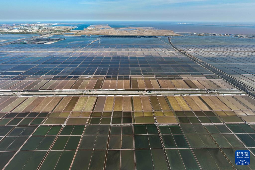 天津：万亩盐田“春扒”忙