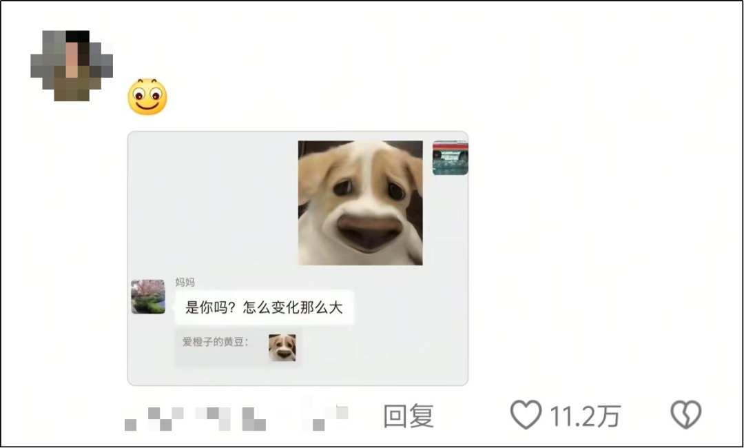 不要随便给爸妈发表情包!他们是真的会“当真” 不要随便给爸妈发表情包!他们是真的会“当真”