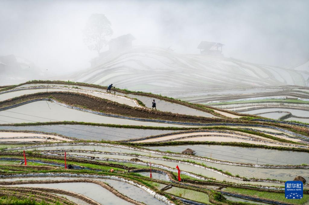 加榜梯田:藏在深山里的诗行 加榜梯田:藏在深山里的诗行