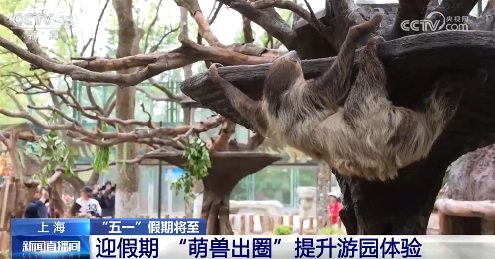 新爆点、新业态、新体验、新场景 “五一”假期文旅市场热度攀升