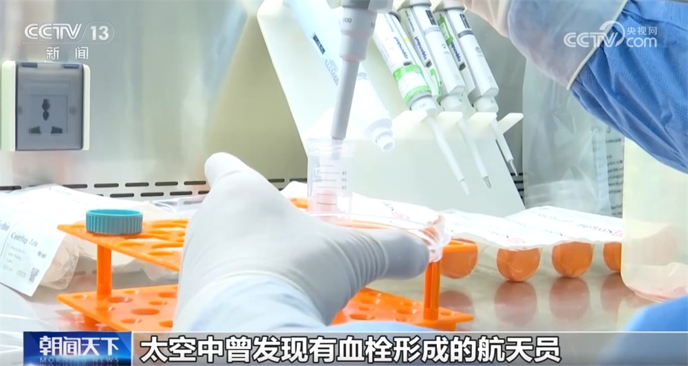 中国空间站“上新”三项细胞学实验 一起期待揭开更多“生命密码”