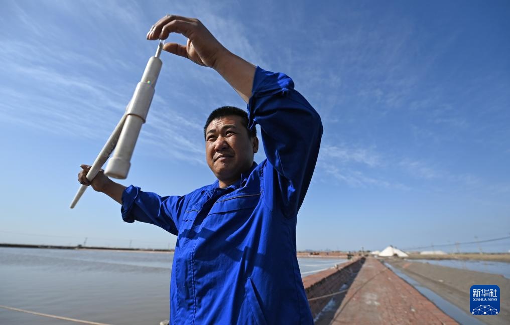 天津：万亩盐田“春扒”忙