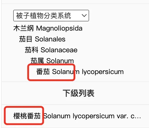 这种“天选减肥果”，多吃不怕胖！