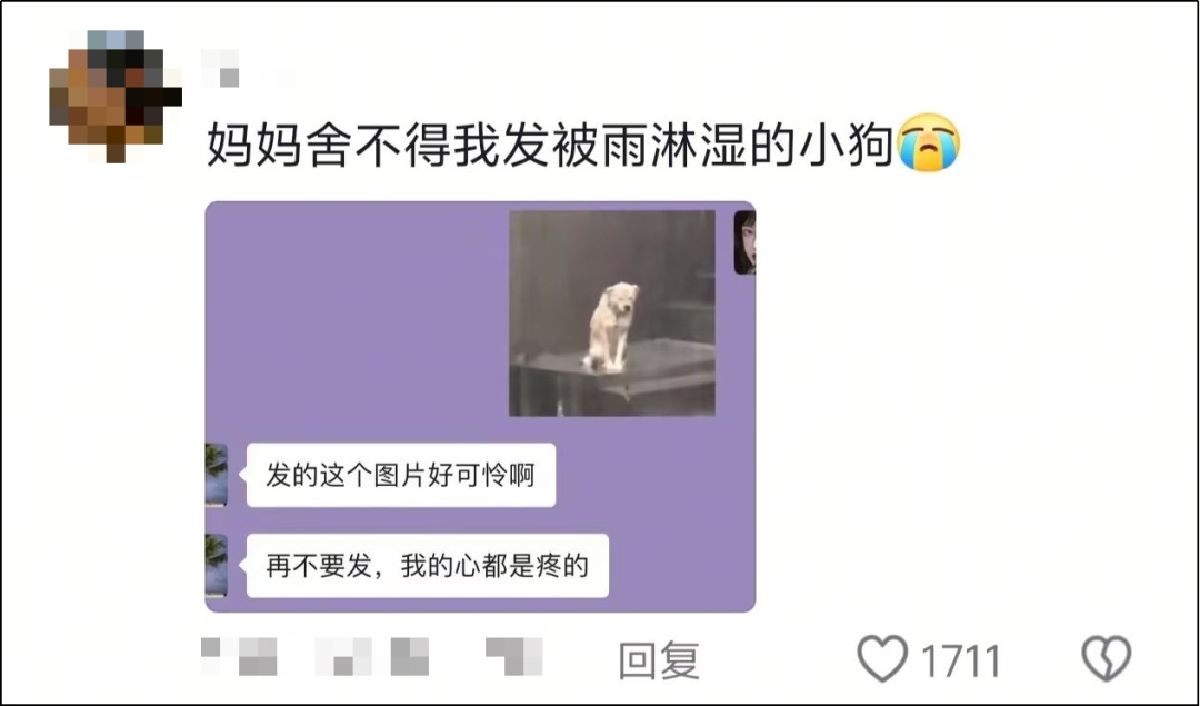 不要随便给爸妈发表情包!他们是真的会“当真” 不要随便给爸妈发表情包!他们是真的会“当真”