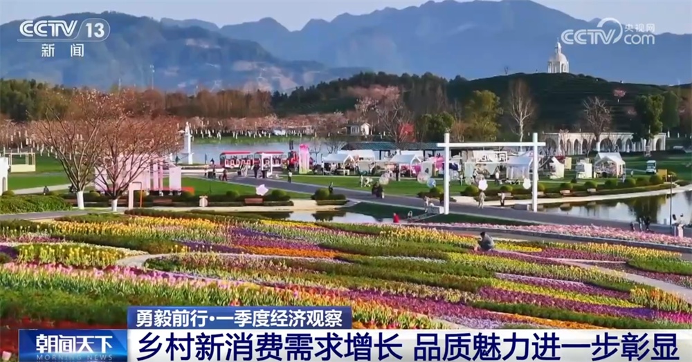 “以旧换新+数智技术”提升乡村消费热度 乡村全面振兴绘就活力画卷