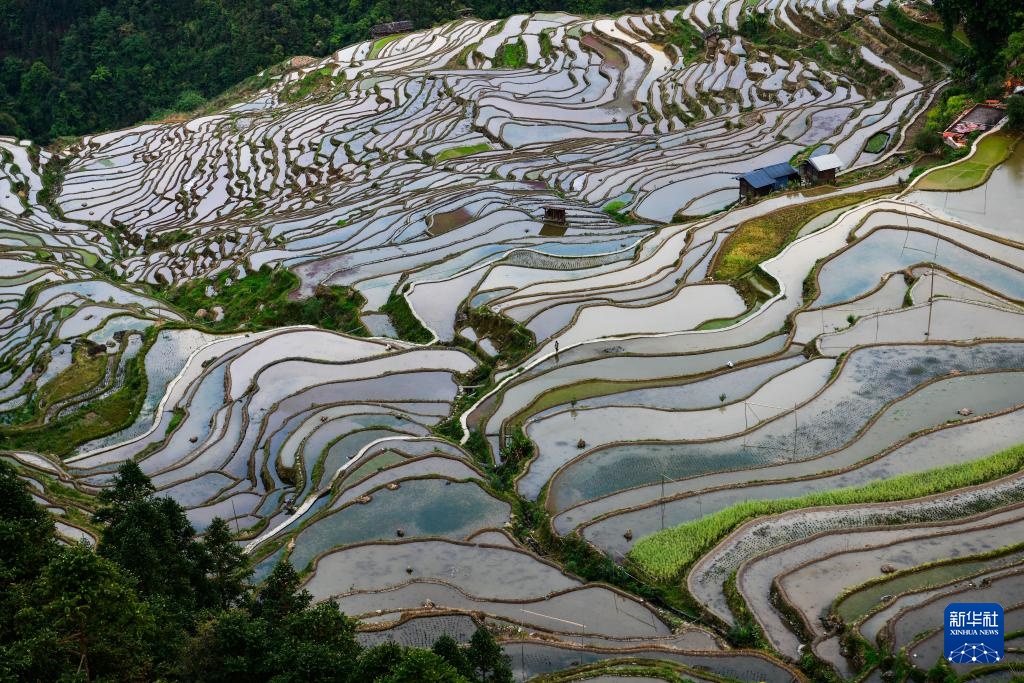 加榜梯田:藏在深山里的诗行 加榜梯田:藏在深山里的诗行