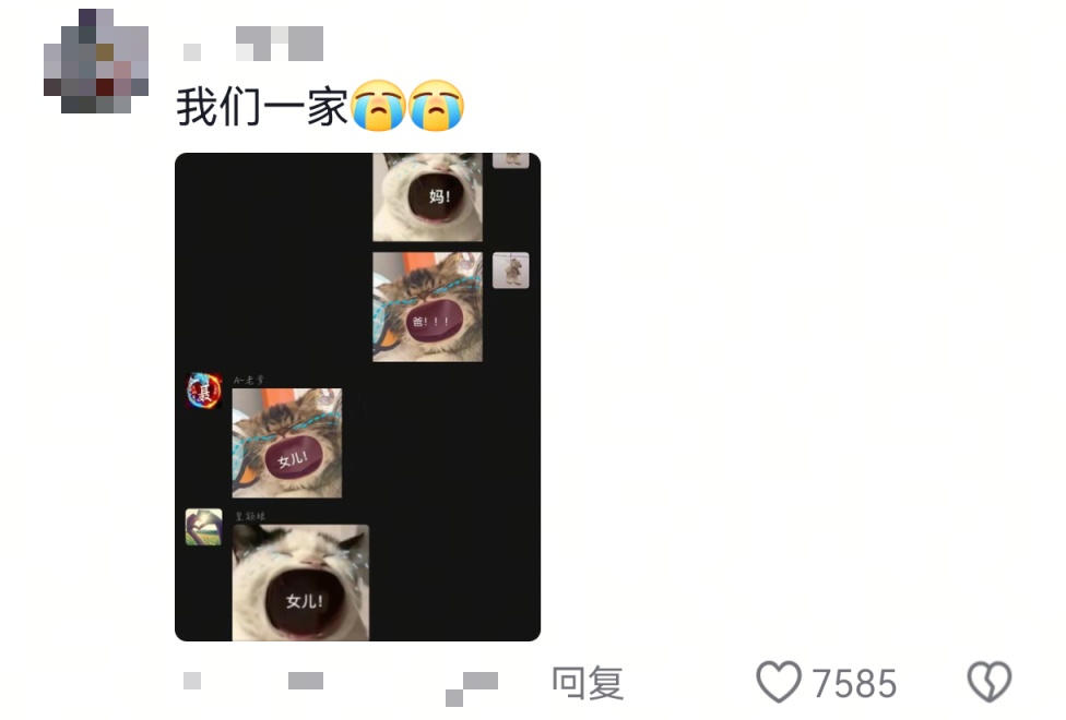 不要随便给爸妈发表情包!他们是真的会“当真” 不要随便给爸妈发表情包!他们是真的会“当真”