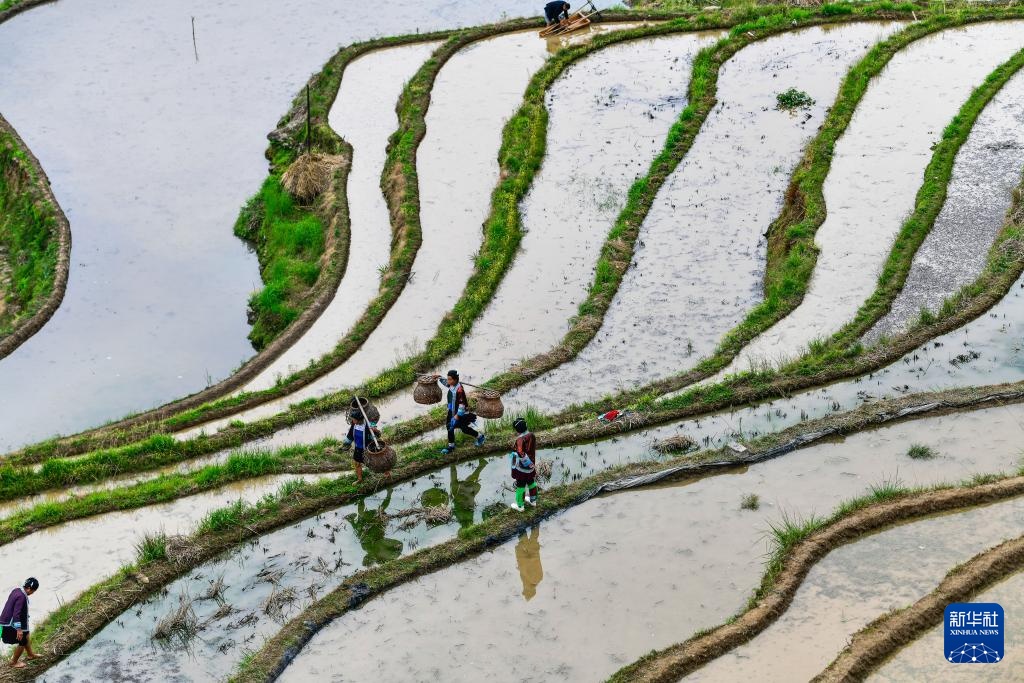 加榜梯田:藏在深山里的诗行 加榜梯田:藏在深山里的诗行