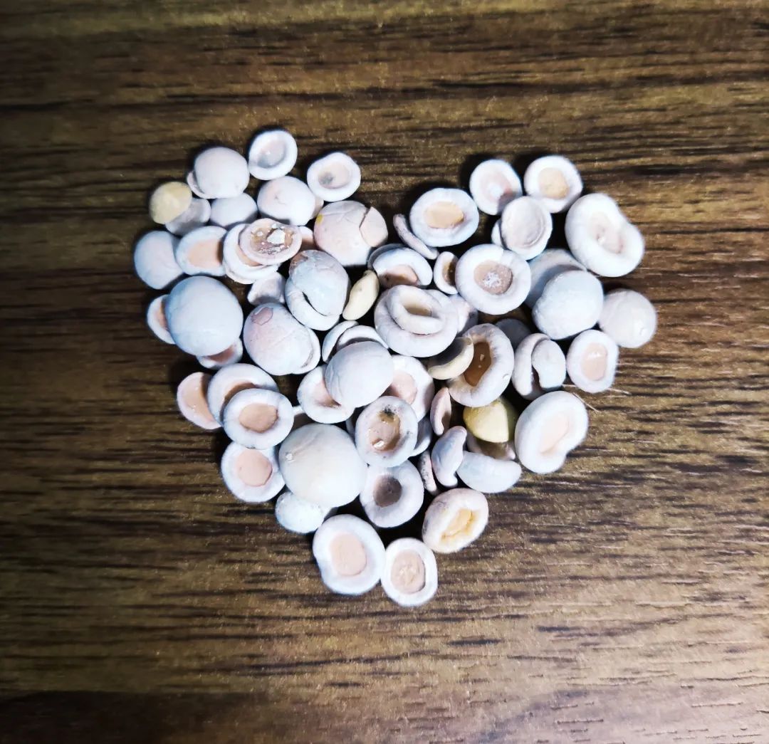 “好吓人!”女子吃小龙虾竟剥出多颗珠子!原来是它... “好吓人!”女子吃小龙虾竟剥出多颗珠子!原来是它...