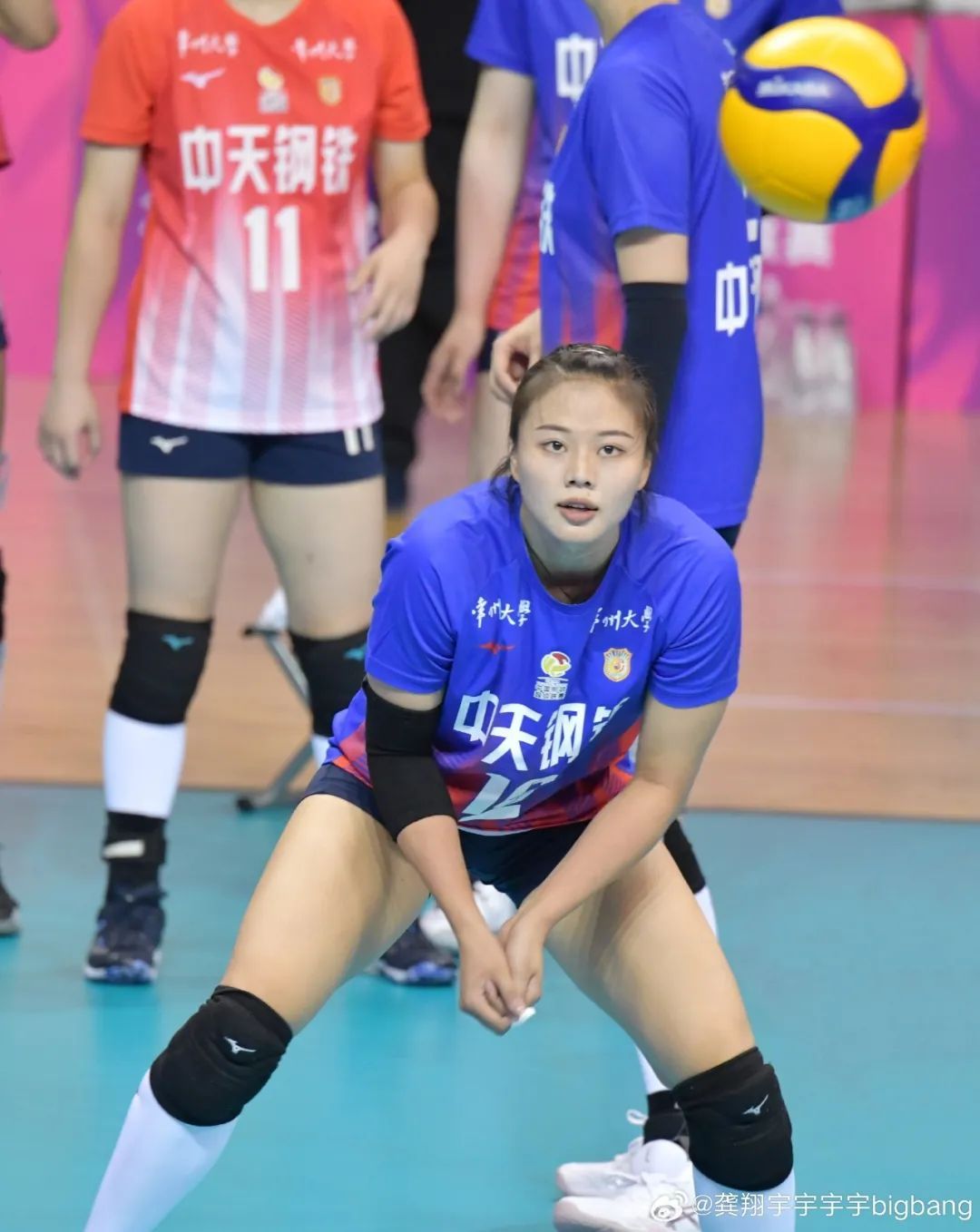 新一届中国女排,亮相!队长是她→ 新一届中国女排,亮相!队长是她→