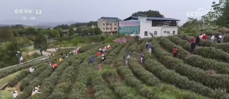 “国潮+”“露台+”“美食+”，准备好了！“五一”假期多样文旅新场景等你来