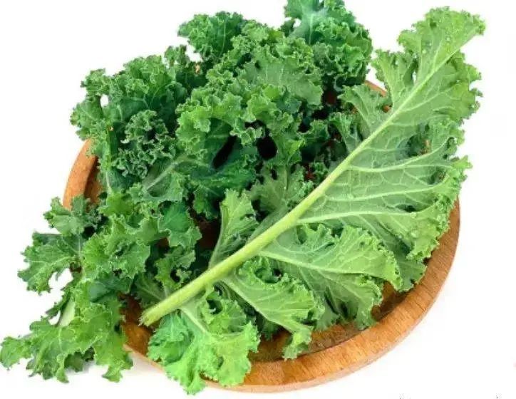 身价暴涨！这种冷门蔬菜火了，种植户却说羊都不吃？专家提醒