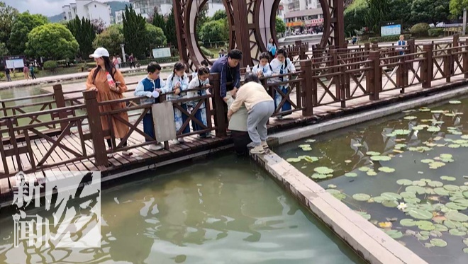 “为上海人的素质点赞”！一个举动火遍全网 原来是他