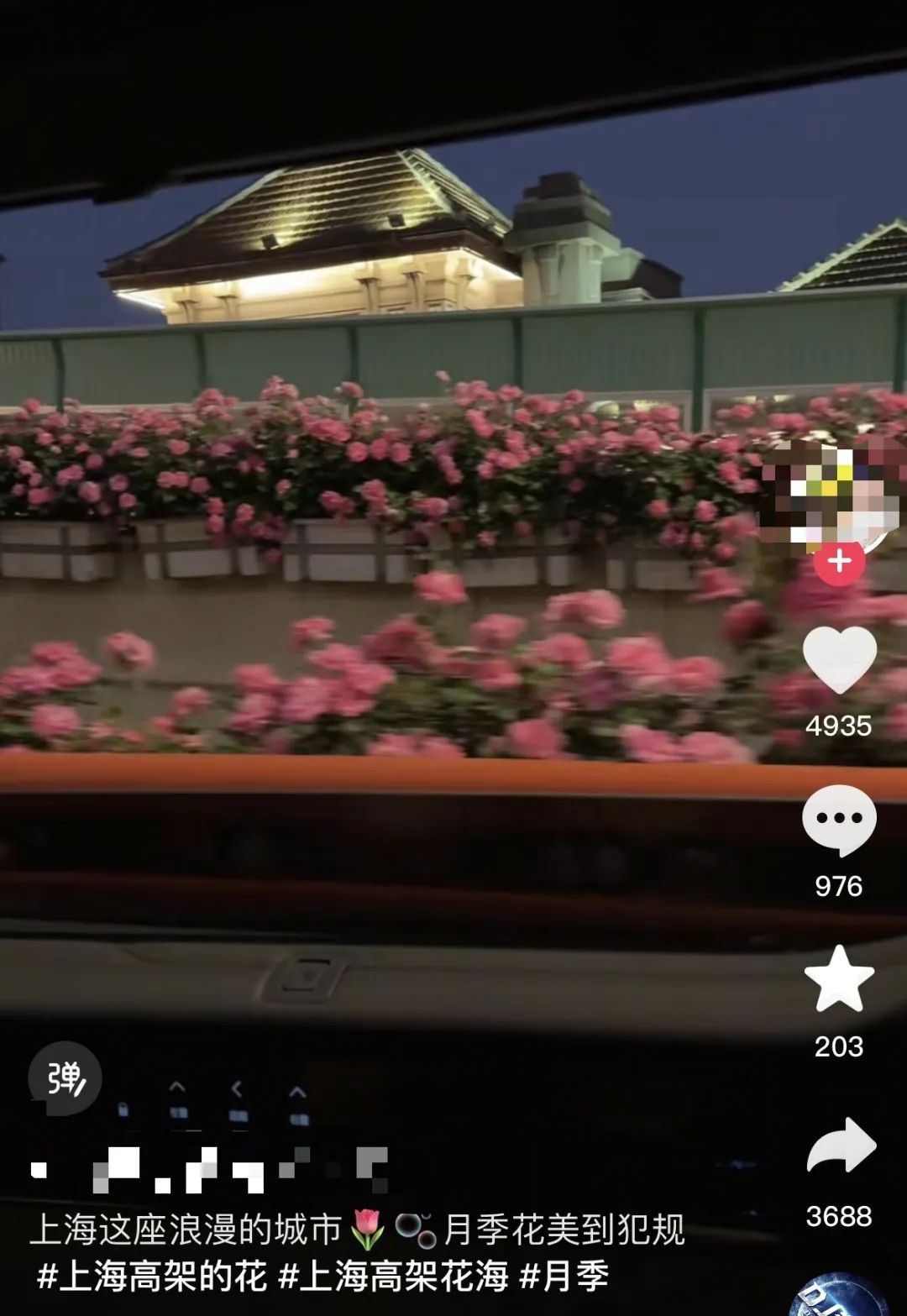 上海是懂浪漫的!一年一度走花路,网友感慨:上海“美呆了” 上海是懂浪漫的!一年一度走花路,网友感慨:上海“美呆了”