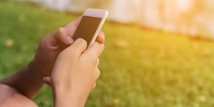 三条狗“混战”，致遛狗老人被扑倒躺在地上一小时