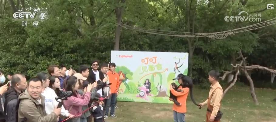 景区多元特色主题活动赋能 “五一”假期文旅消费焕新彩