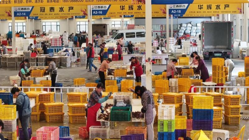 江西永修：小龙虾产销两旺&nbsp;日均60万斤销全国