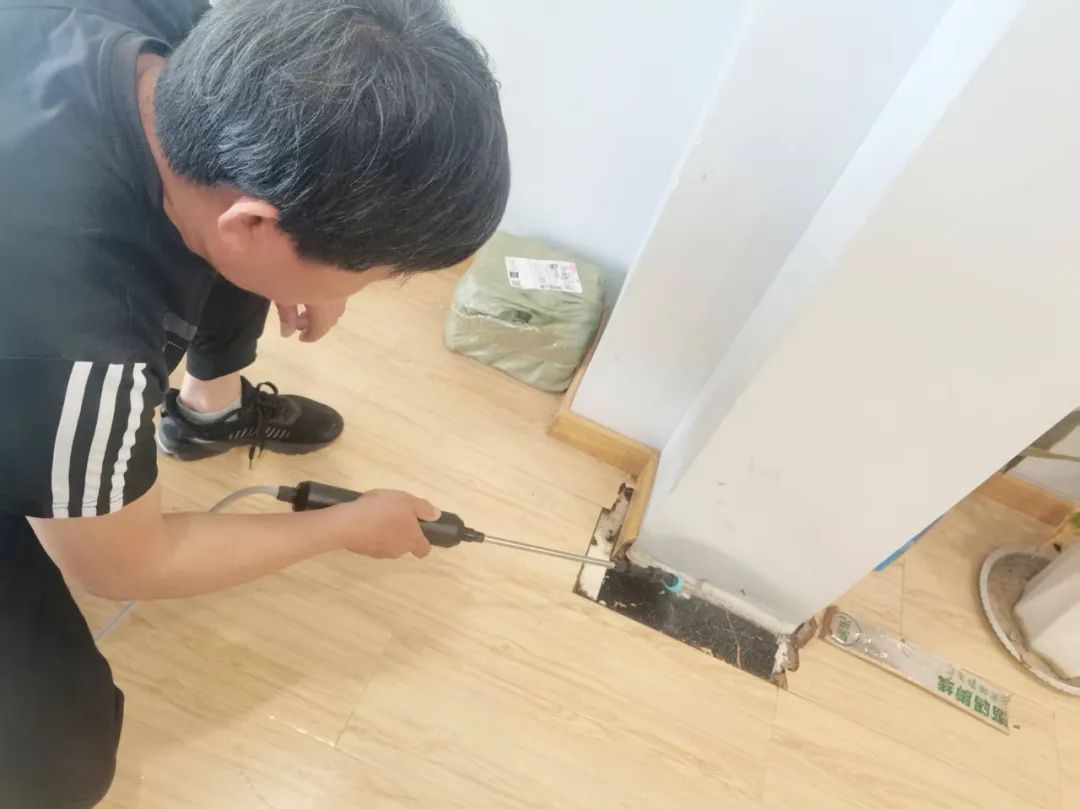 密密麻麻！阜阳一小区出现！破坏性极强！