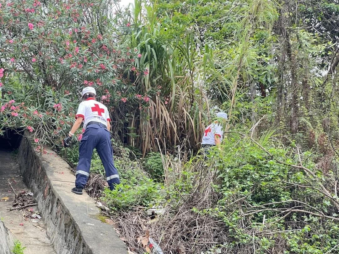 “我掉进坑里，爬不上来！”广州老伯离家失联，40小时后在10公里外的水沟发现