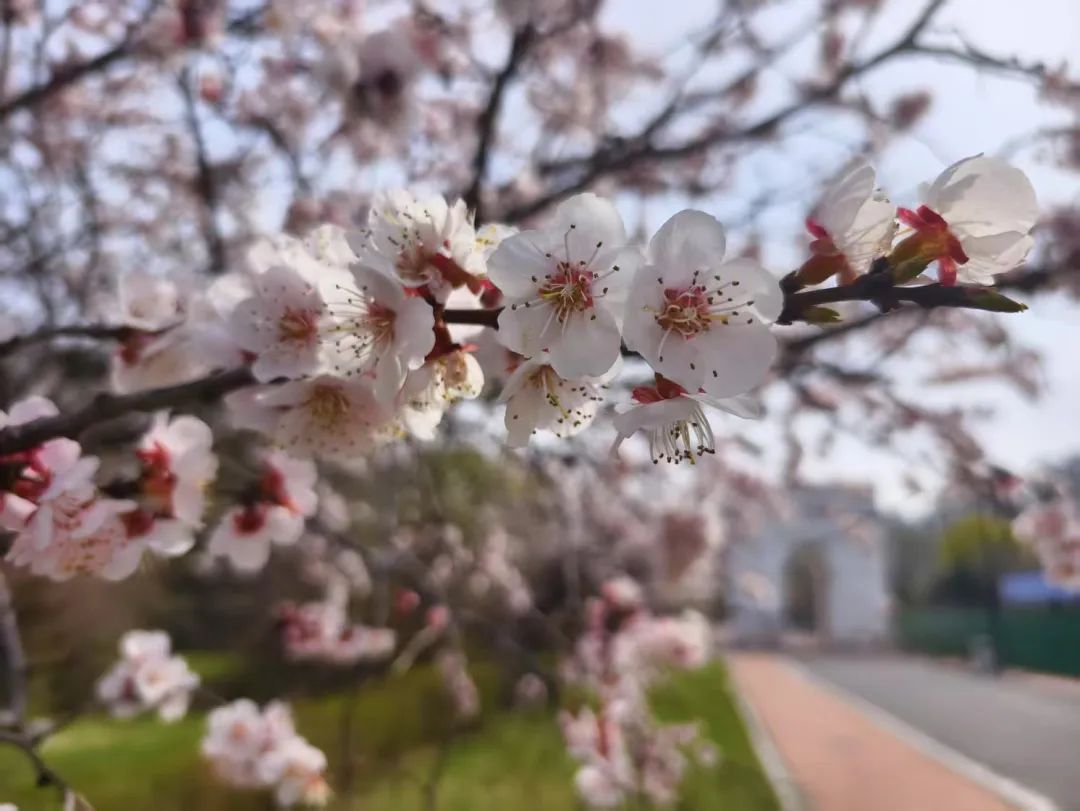 哈尔滨“五一”假期天气提示 哈尔滨“五一”假期天气提示