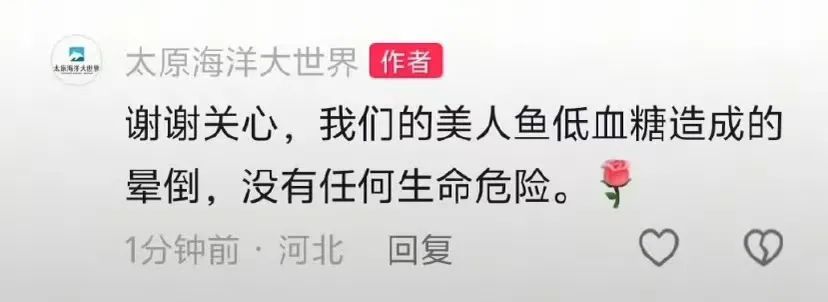 女演员溺水真实原因公布!不是低血糖!目前仍在重症监护室,涉事地已暂停营业 女演员溺水真实原因公布!不是低血糖!目前仍在重症监护室,涉事地已暂停营业