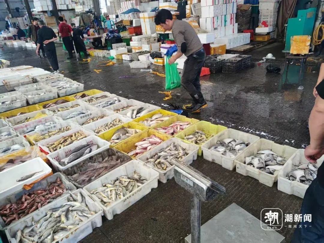 5月1日起，全面禁止！浙江有人一口气囤了几十箱