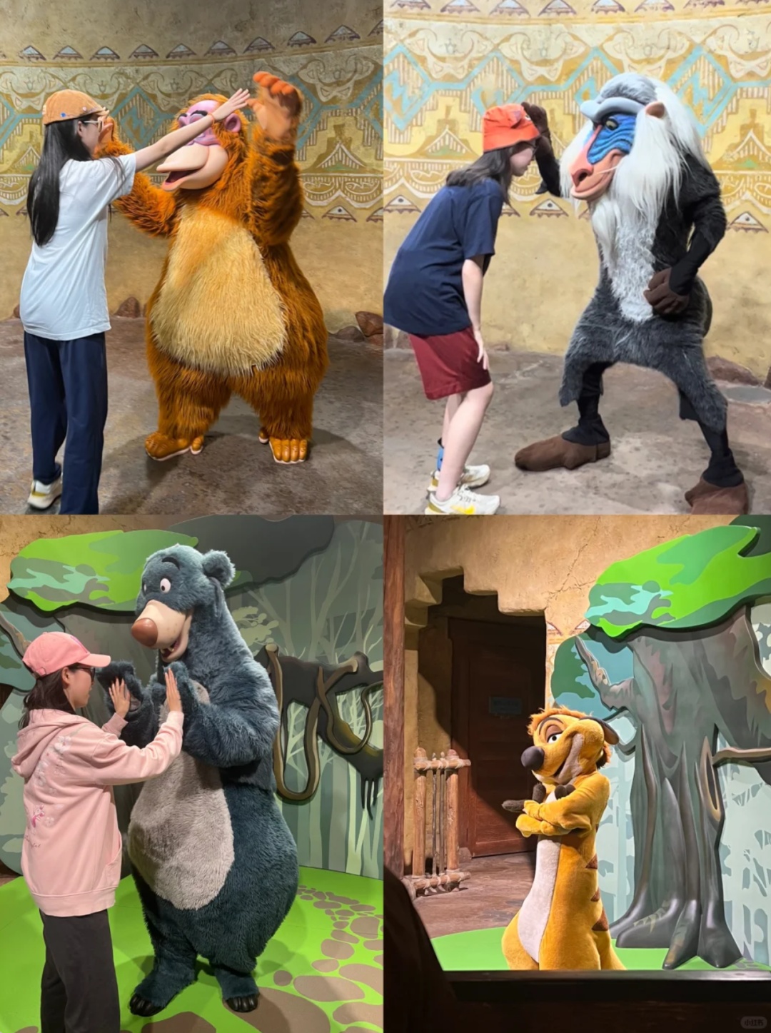 上海迪士尼突传消息!这一项目停运 上海迪士尼突传消息!这一项目停运