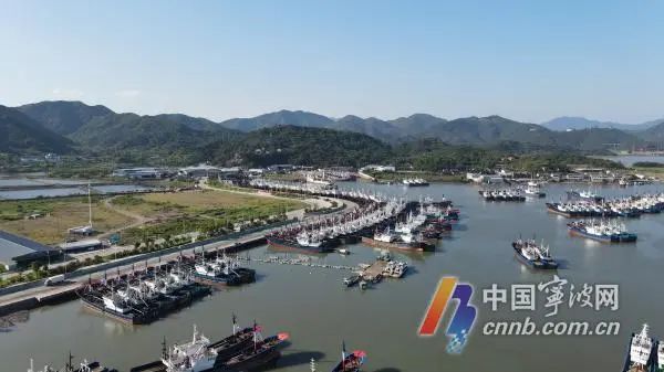 5月1日12时起宁波进入伏季休渔期，3607艘渔船将返港休渔