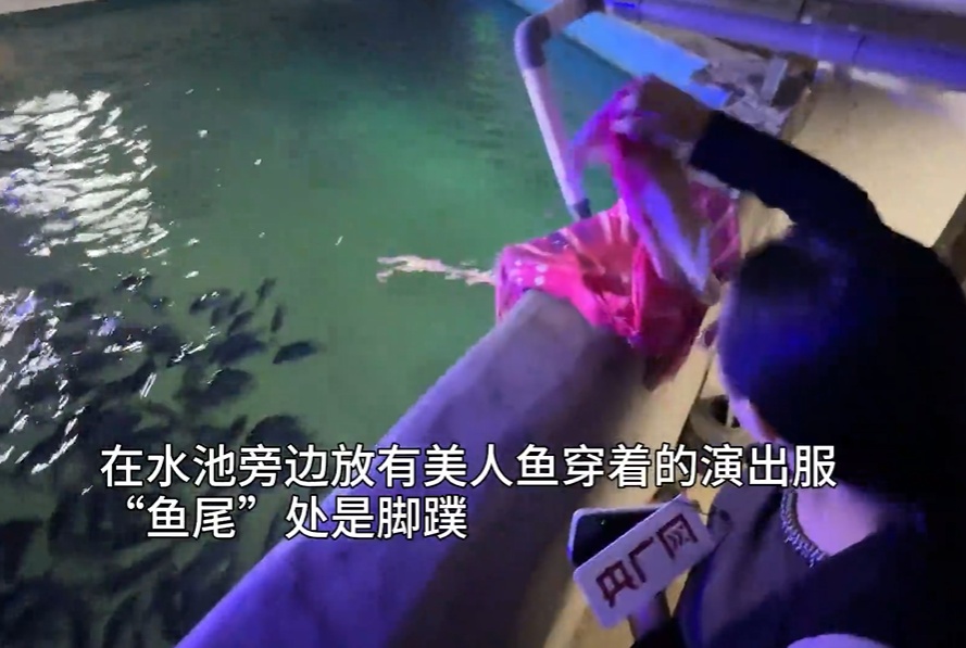 不是低血糖!“美人鱼”演员溺水真正原因公布→ 不是低血糖!“美人鱼”演员溺水真正原因公布→