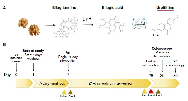 每天早餐加一物，全身炎症、癌症风险都降低！爱吃的人赚到了！