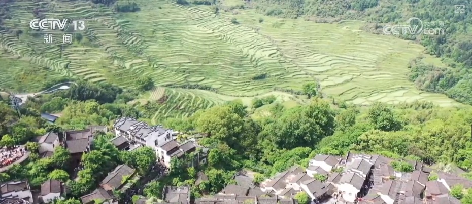 从“原住民”到“收租人” 古建筑焕新“蝶变”文旅热潮中“主力军”