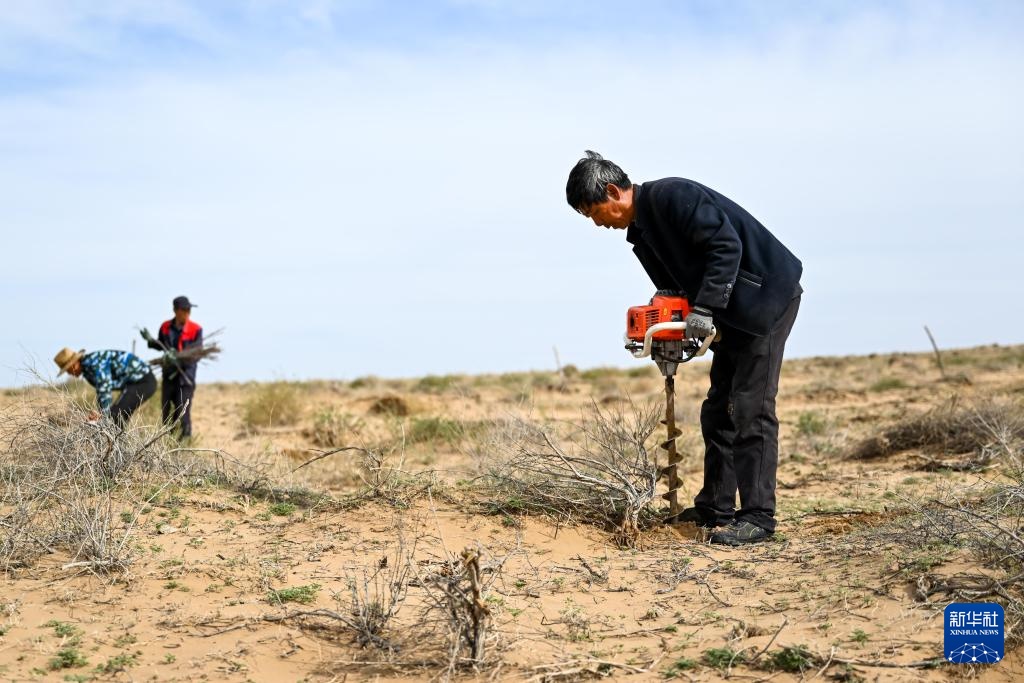 库布其沙漠治沙忙