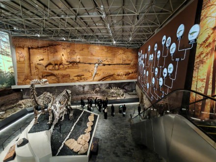 辽宁朝阳鸟化石国家地质公园升级了