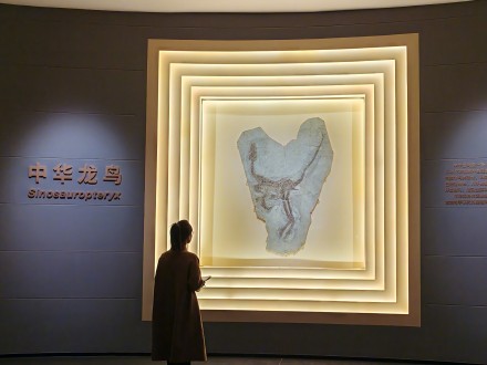 辽宁朝阳鸟化石国家地质公园升级了