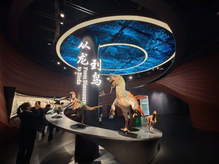 辽宁朝阳鸟化石国家地质公园升级了