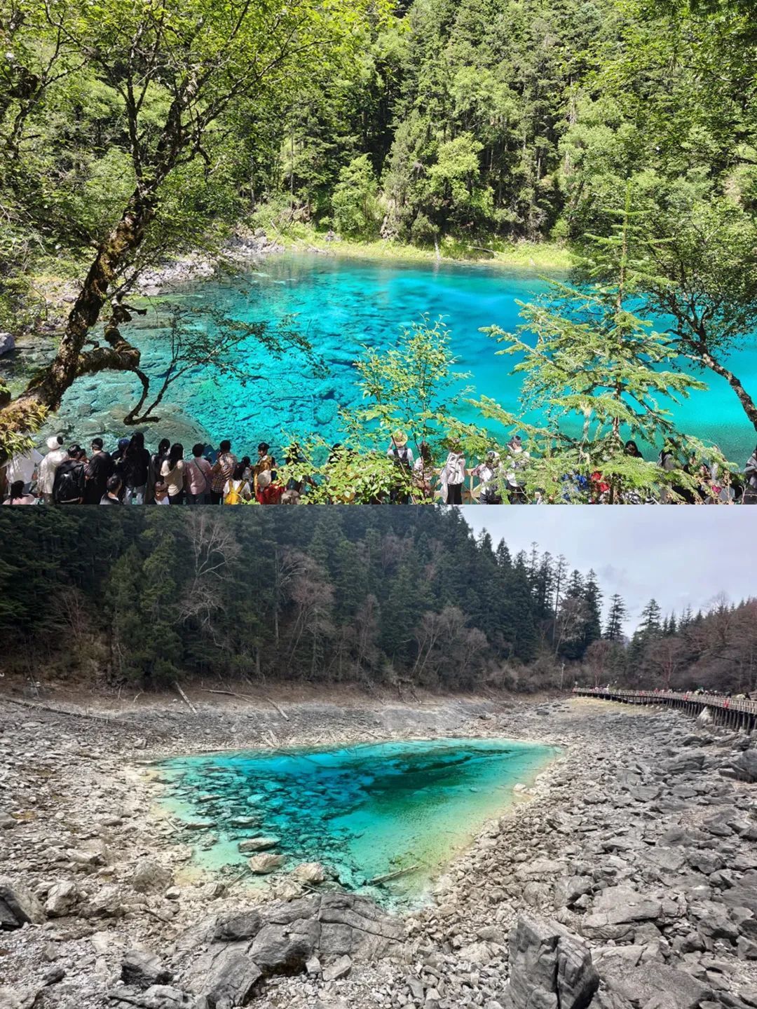 九寨沟五彩池“缩水”成小水洼？景区回应
